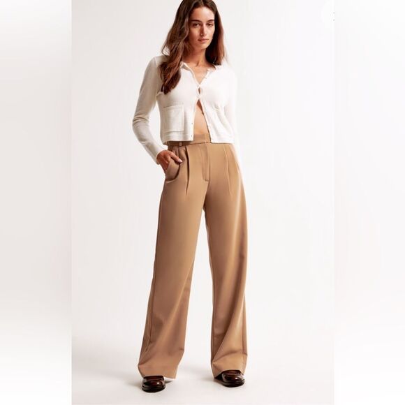 Abercrombie & Fitch Sloane tailored wide leg pants in brown, high rise sz 10r - Picture 1 of 12